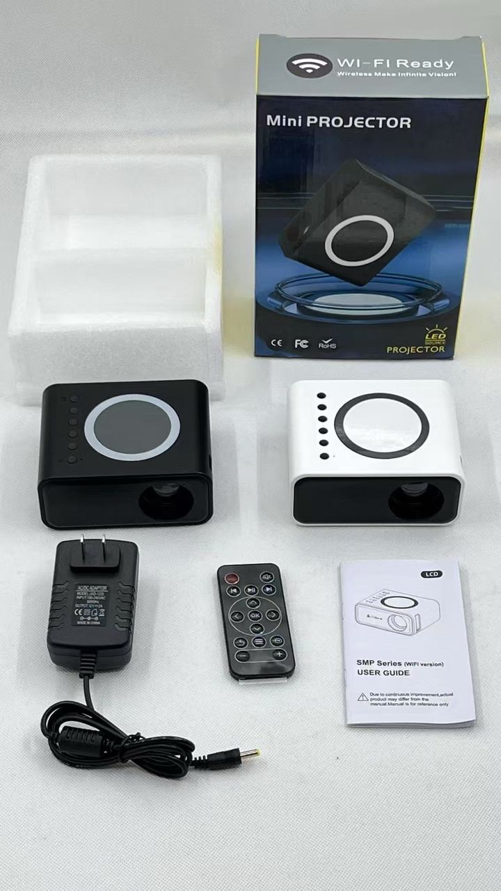 T300S 320*240 MINI PJ